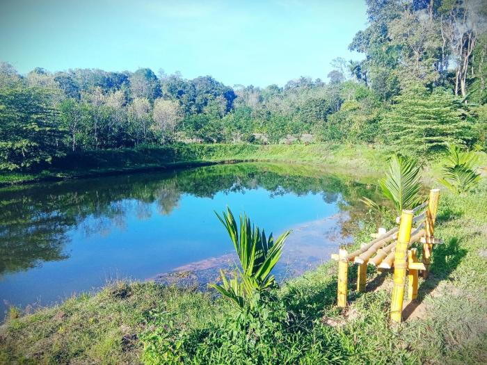 wetland homestay and camping