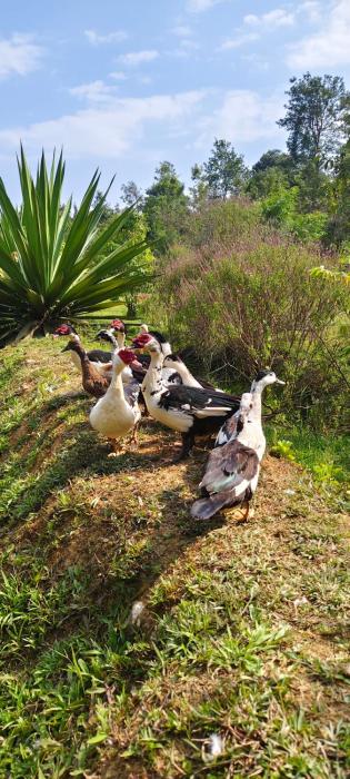 wetland homestay and camping