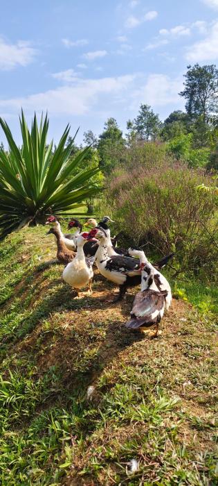 wetland homestay and camping