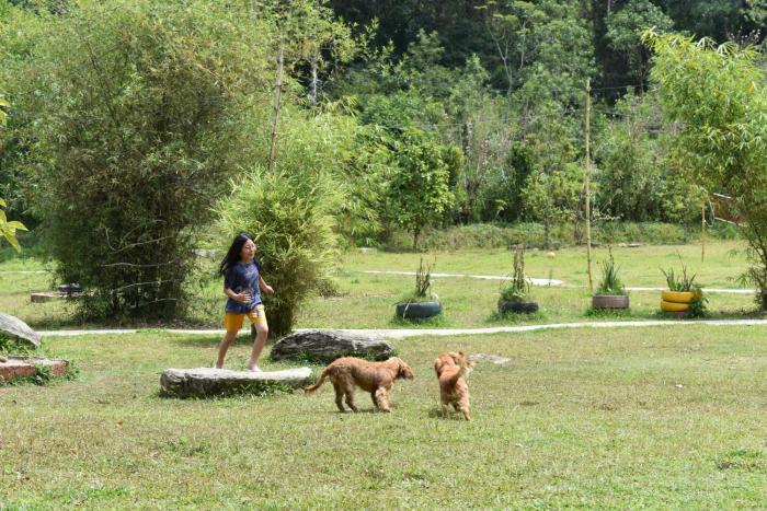 wetland homestay and camping