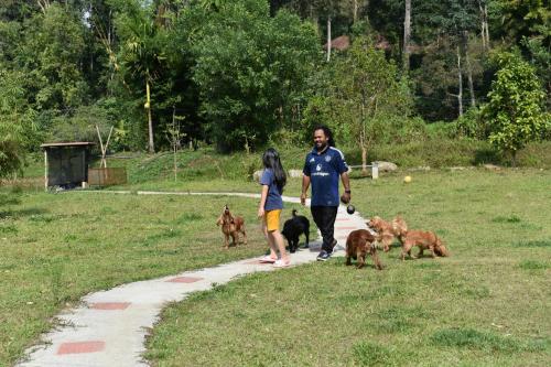 wetland homestay and camping
