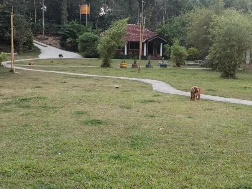 wetland homestay and camping