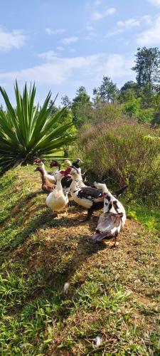 wetland homestay and camping