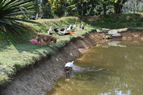 wetland homestay and camping