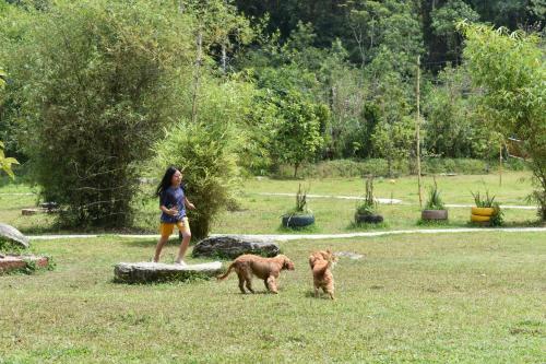 wetland homestay and camping