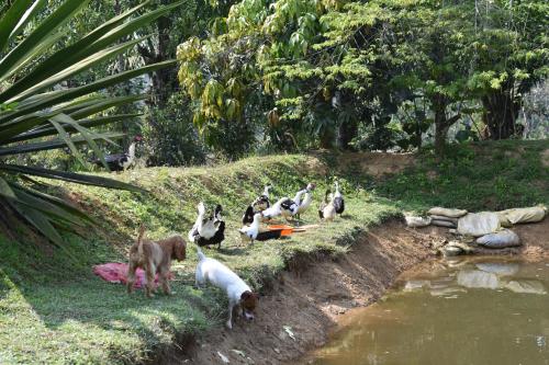 wetland homestay and camping