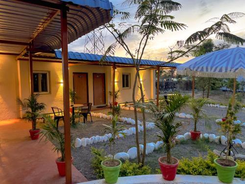 jawai into the wild