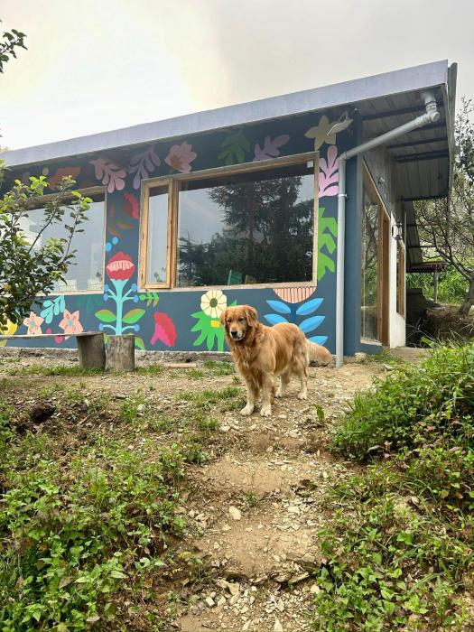 nomad eco retreat