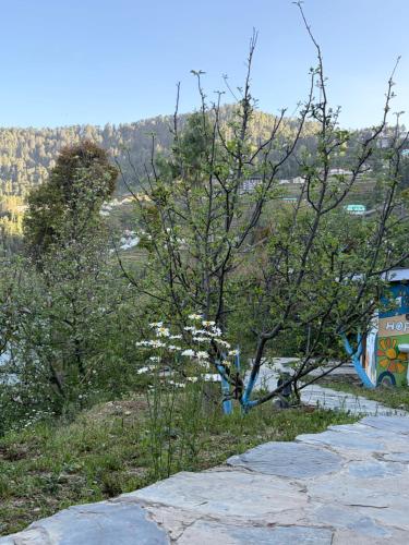 nomad eco retreat