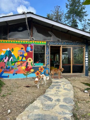 nomad eco retreat