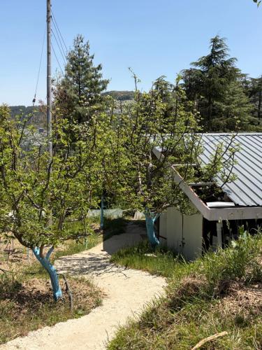 nomad eco retreat