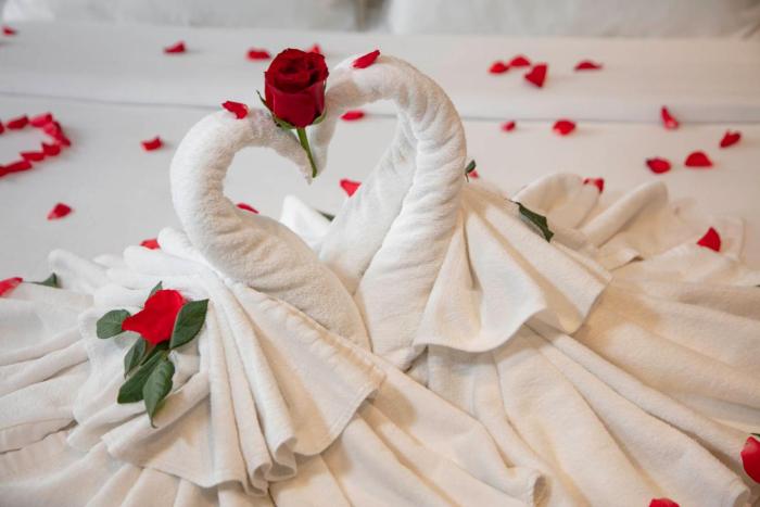 ensora hotel and travel