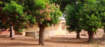 samuel t sanwaogou