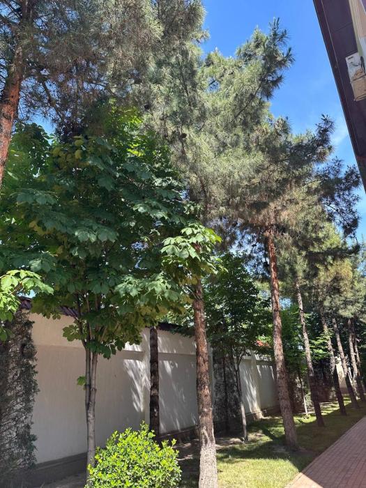 regal garden hotel