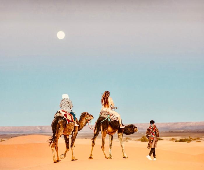 hotel camping les roses des dunes