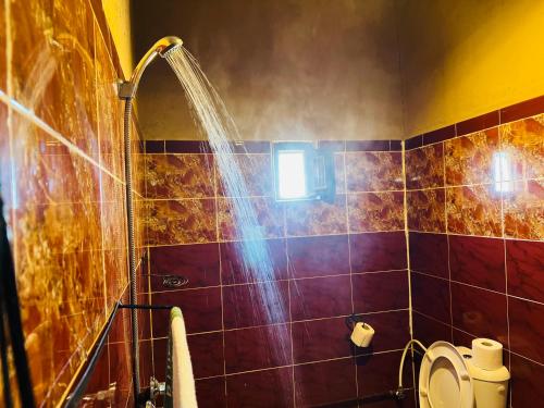 hotel camping les roses des dunes