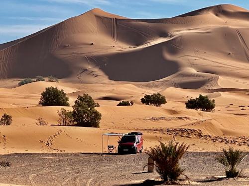 hotel camping les roses des dunes