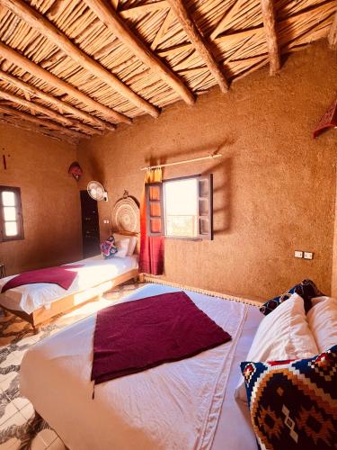 hotel camping les roses des dunes