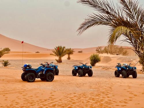 hotel camping les roses des dunes