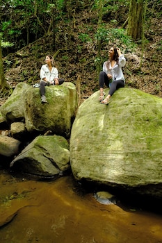 monteverde