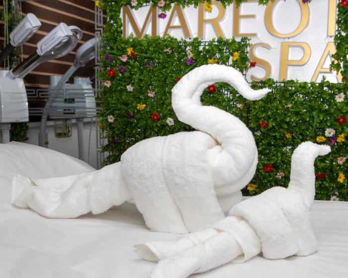 mareot hotel and spa