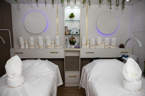 mareot hotel and spa