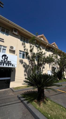 cardoso palace hotel rio verde