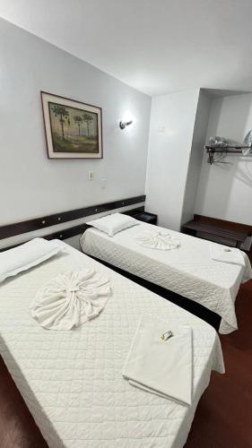 cardoso palace hotel rio verde
