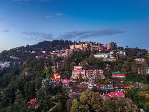 shimla