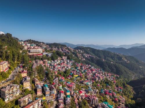 shimla