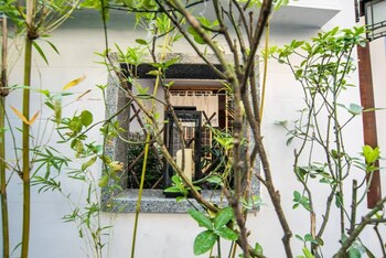 fenghuang bahaobieyuan