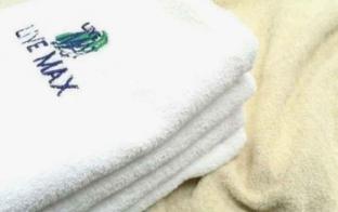 hotel livemax mihara ekimae