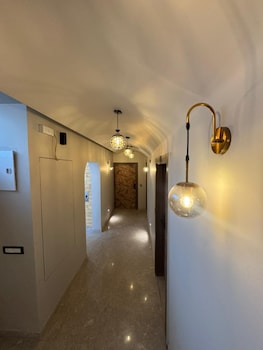 studio 24