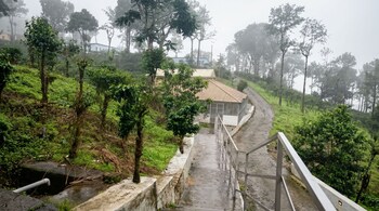 spka jungle resort