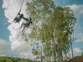 area 83 adventure resort