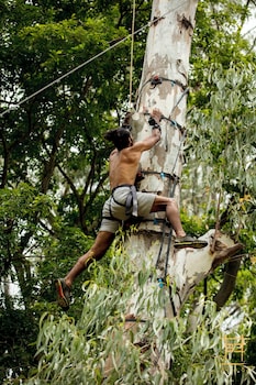 area 83 adventure resort