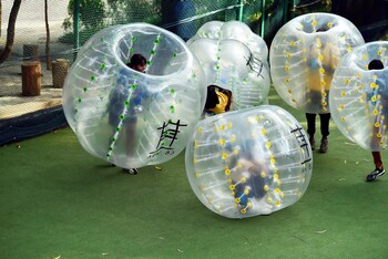 area 83 adventure resort