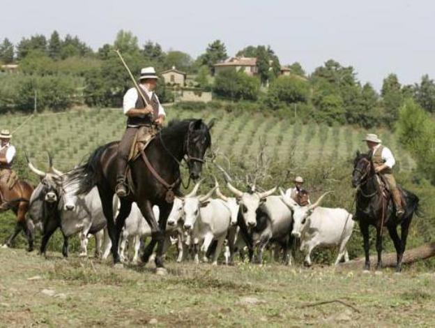agriturismo la forra