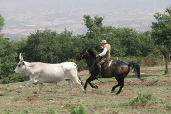 agriturismo la forra