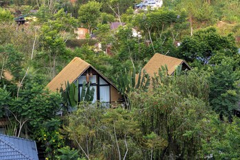 up tree garden da lat