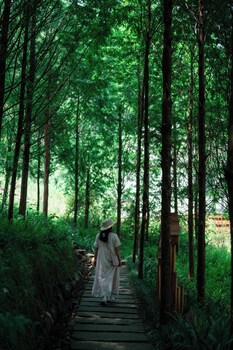 alor valley sichuan yaan