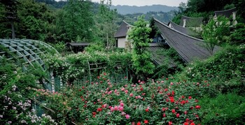 alor valley sichuan yaan
