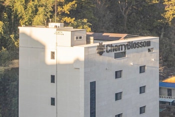 hotel cherry blossom