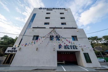 hotel cherry blossom