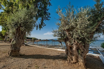 evia riviera resort by anayia all inclusive resorts