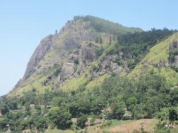 misty hills ella resort