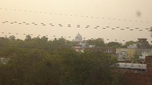 hotel the m j agra