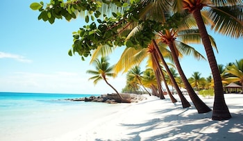 Los Corales Del Mar Studios & Suites Spa,,5 star
