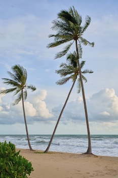 viona beach hotel marina phu quoc