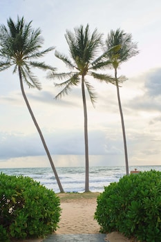 viona beach hotel marina phu quoc